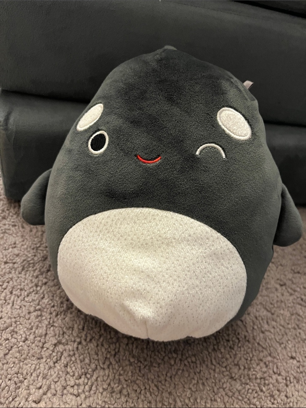 Squishmallows Dark Gray Winking Orca Plush with Cream Belly